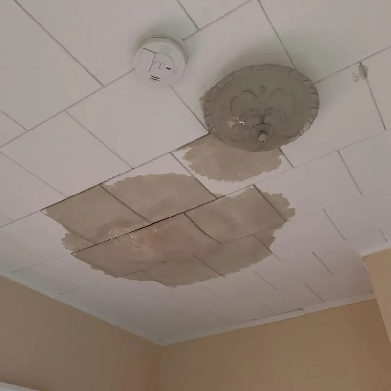 Ceiling Water Damage Repair in Poplar Grove, IL